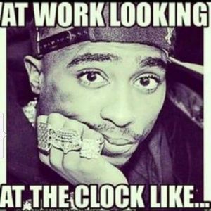 Meet your Posher, Silas